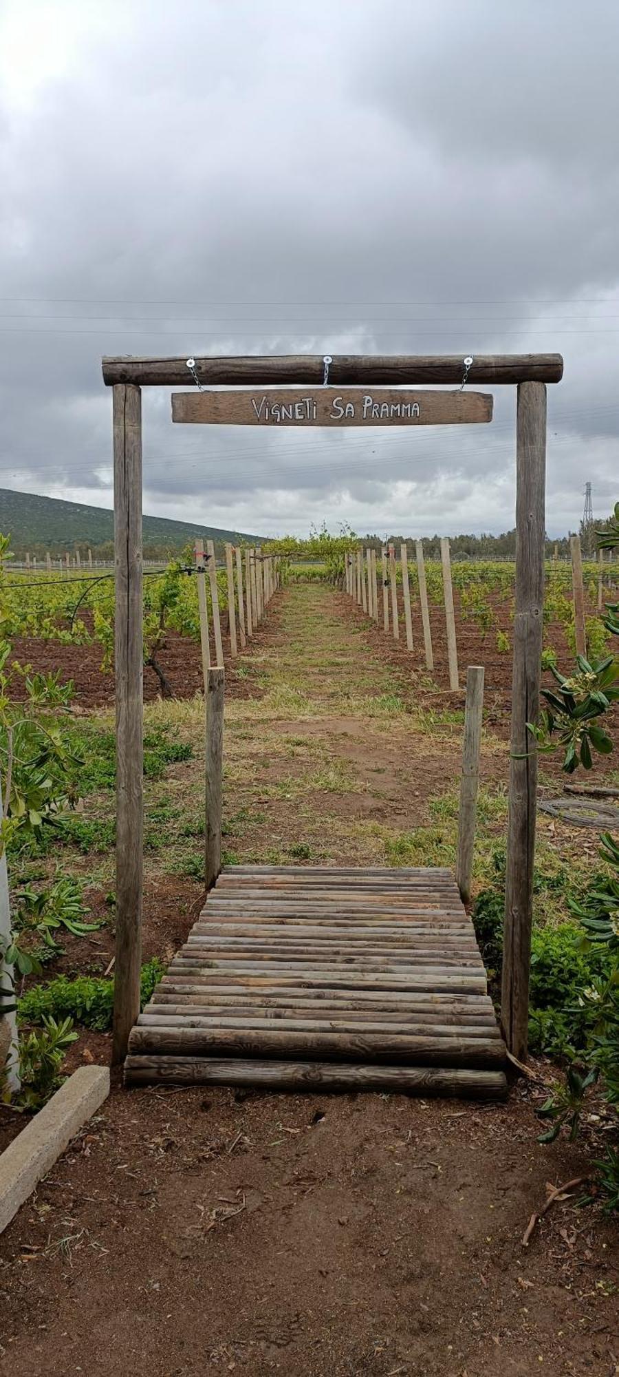 Agriturismo Sa Pramma Santa Maria la Palma Exteriér fotografie